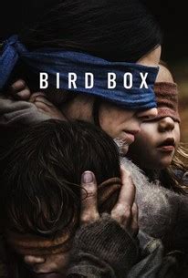 bird box rotten tomatoes|bird box movie explained.